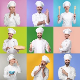 Image of Collage with photos of professional chefs on different color backgrounds