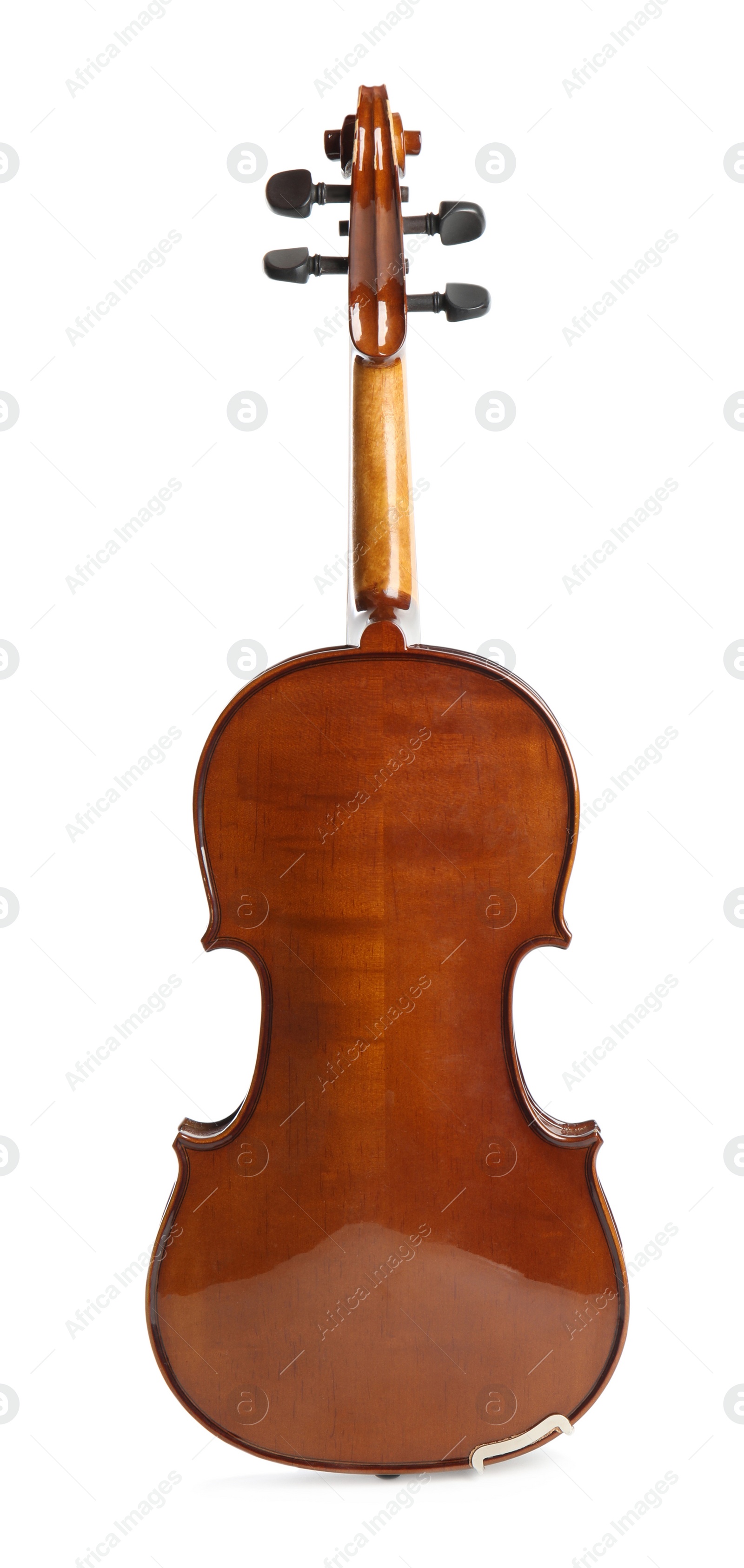 Photo of Beautiful classic violin isolated on white. Musical instrument