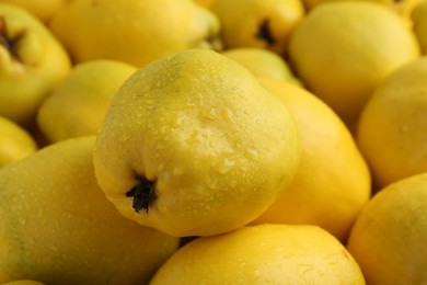 Photo of Delicious ripe quinces with water drops as background, closeup