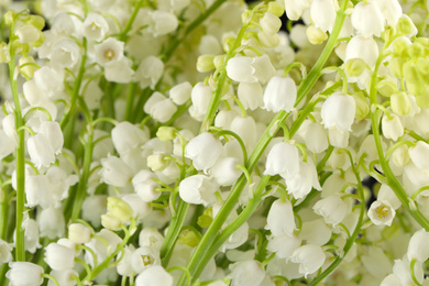 Photo of Beautiful lily of the valley flowers as background, closeup