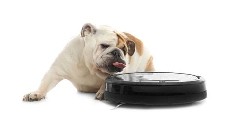 Photo of Robotic vacuum cleaner and adorable dog on white background