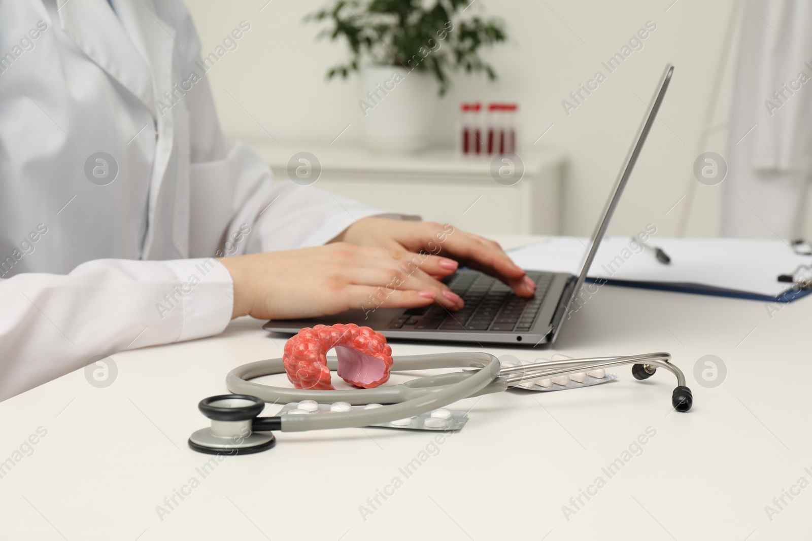 Photo of Endocrinologist working at table, focus on stethoscope and model of thyroid gland