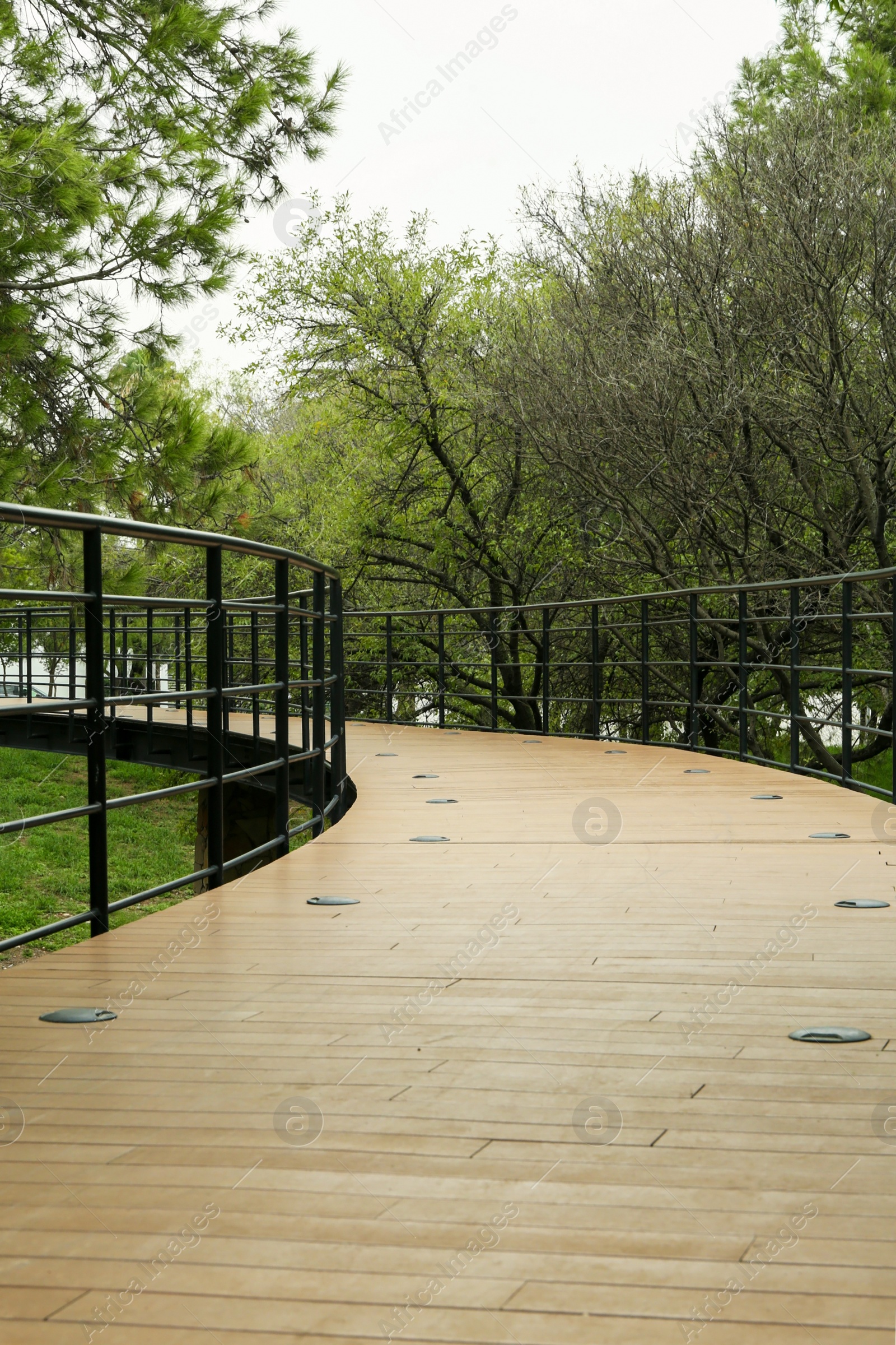 Photo of Beautiful pathway with metal handrails in park near trees