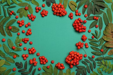 Photo of Frame of fresh ripe rowan berries and leaves on green background, flat lay. Space for text