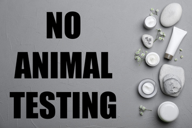 Image of Cosmetic products and text NO ANIMAL TESTING on grey background, flat lay