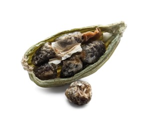 Dry green cardamom pod with seeds isolated on white, closeup