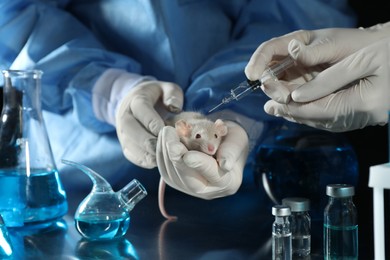Photo of Scientists with syringe and rat in chemical laboratory, closeup. Animal testing