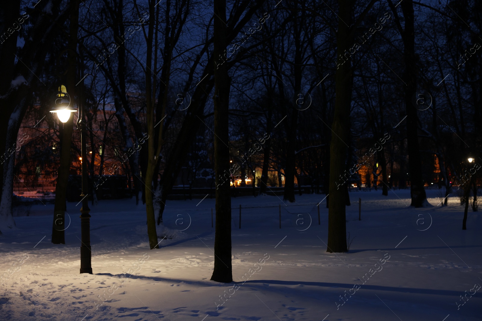 Photo of Trees, street lamp and snow in evening park