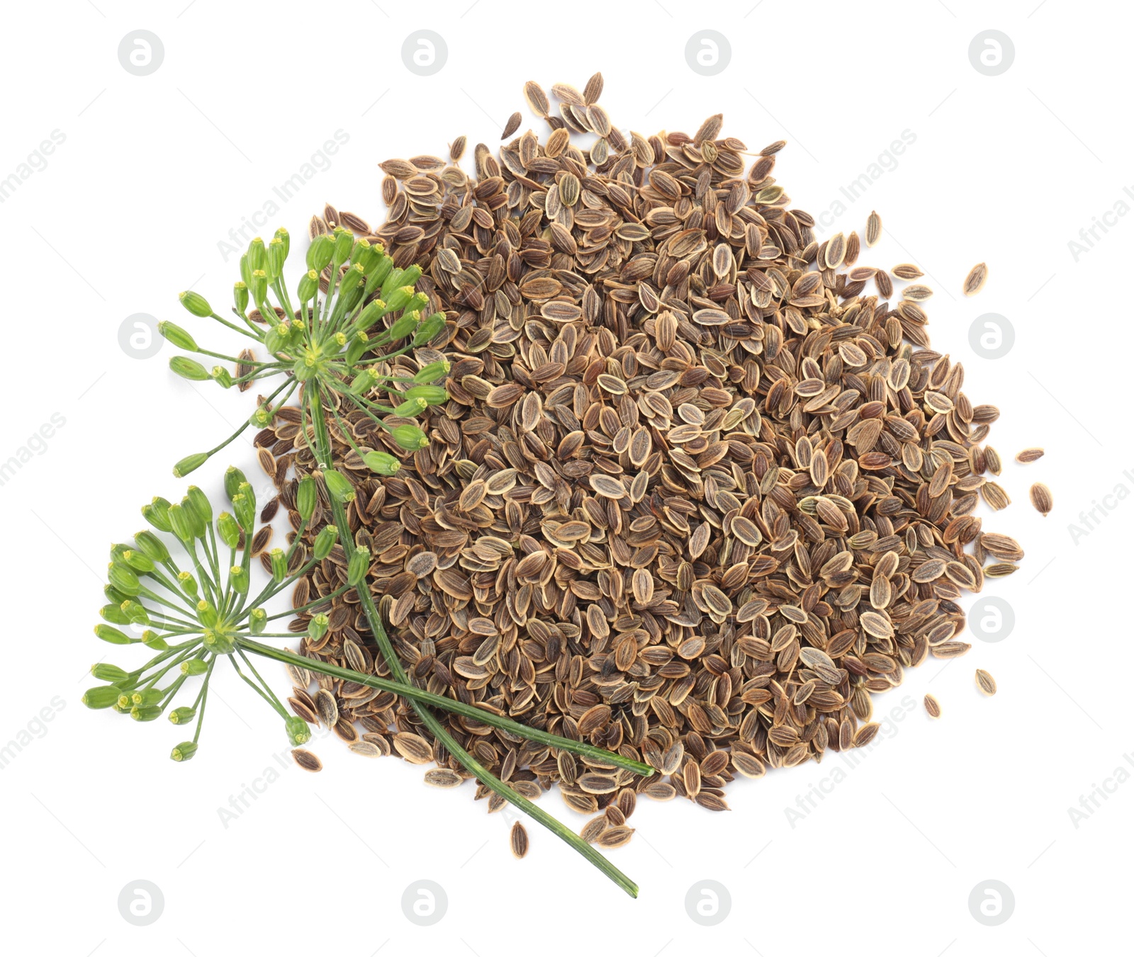 Photo of Heap of dry seeds and fresh dill flowers isolated on white, top view