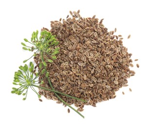 Heap of dry seeds and fresh dill flowers isolated on white, top view