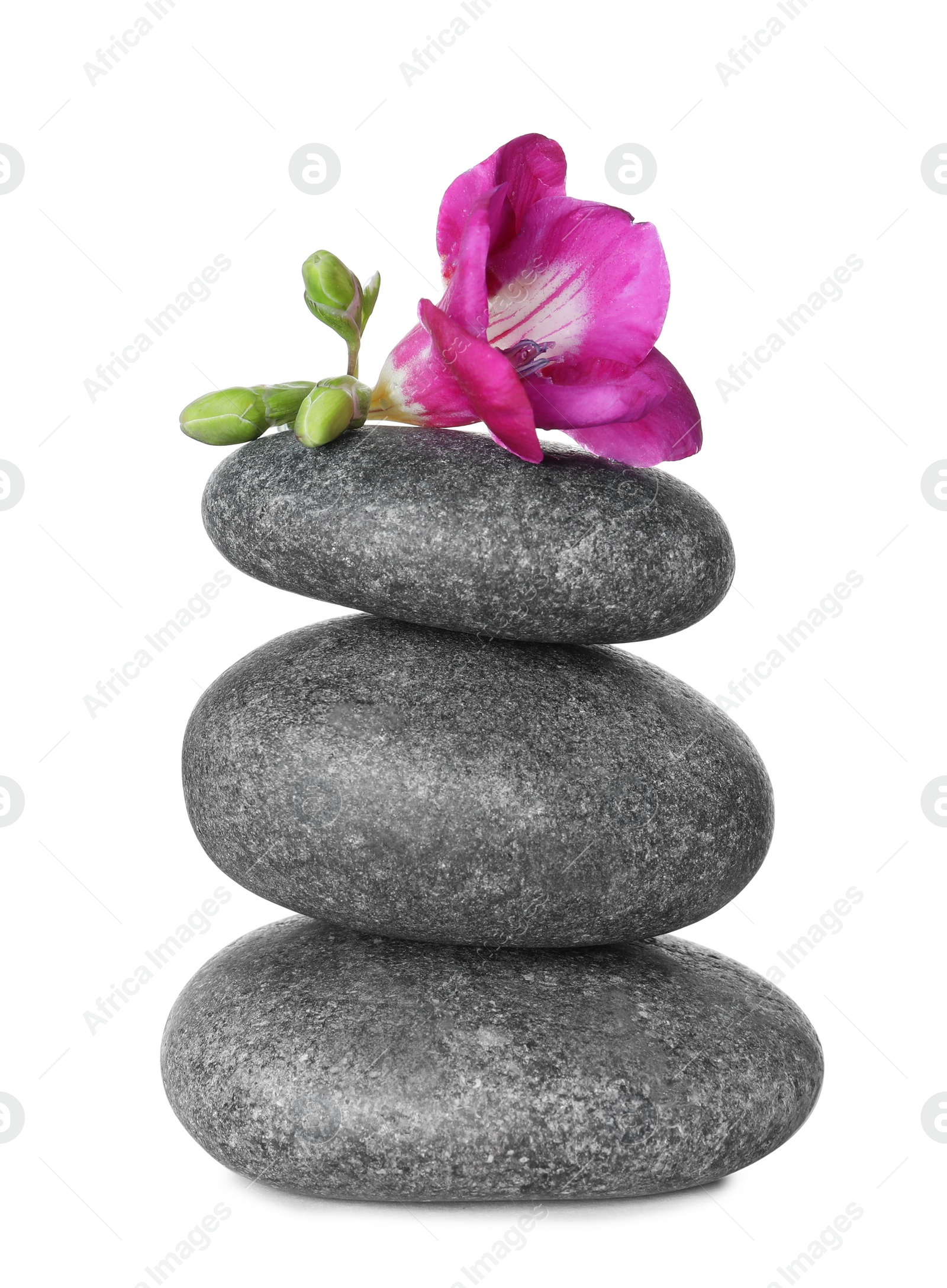 Photo of Stack of grey spa stones and fresh flower isolated on white