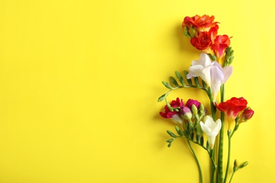 Photo of Beautiful freesia flowers on color background, top view. Space for text