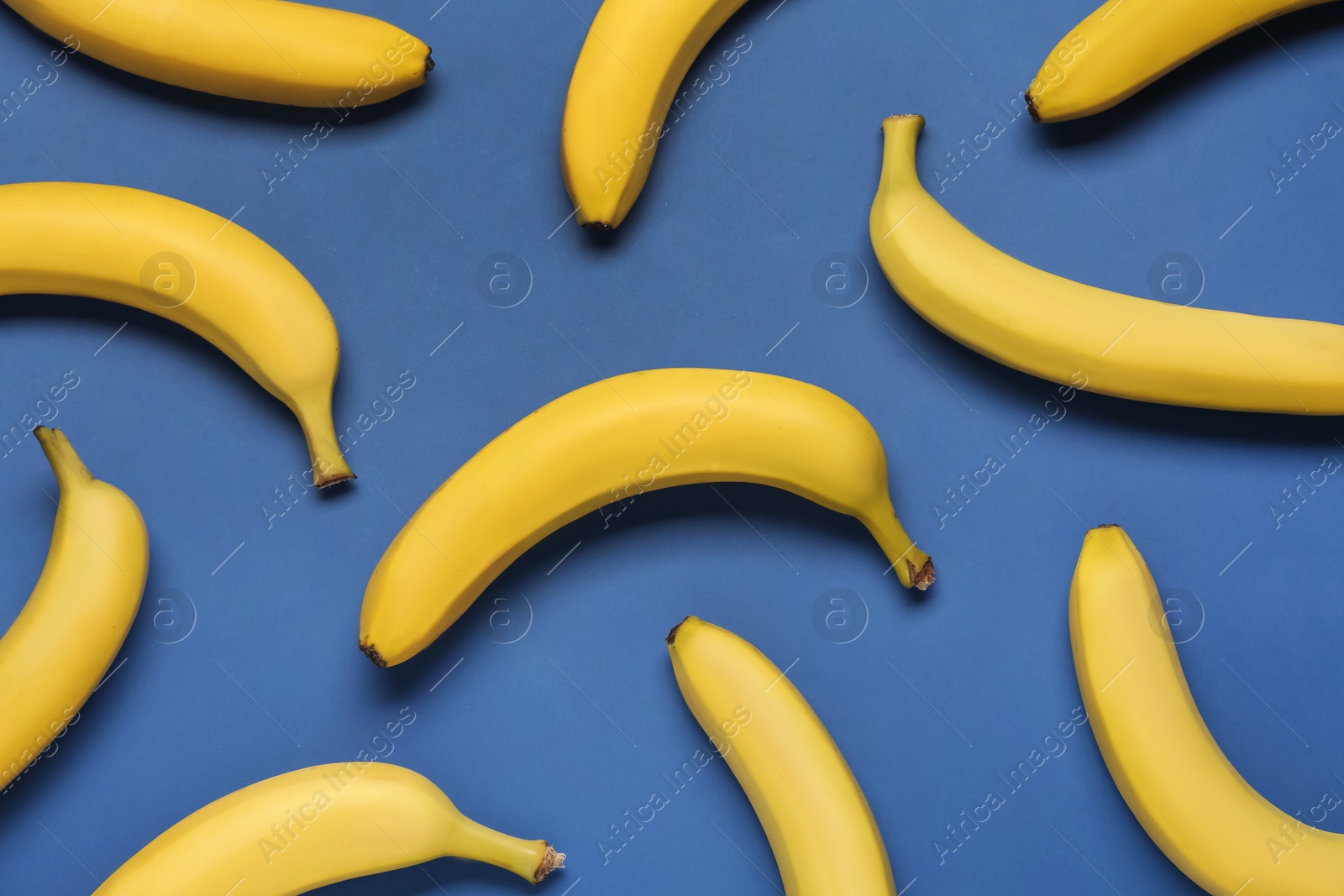 Photo of Ripe yellow bananas on blue background, flat lay