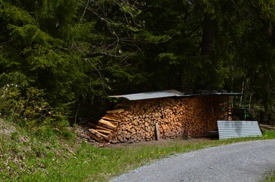 Photo of Many stacked cut firewood under roof in forest