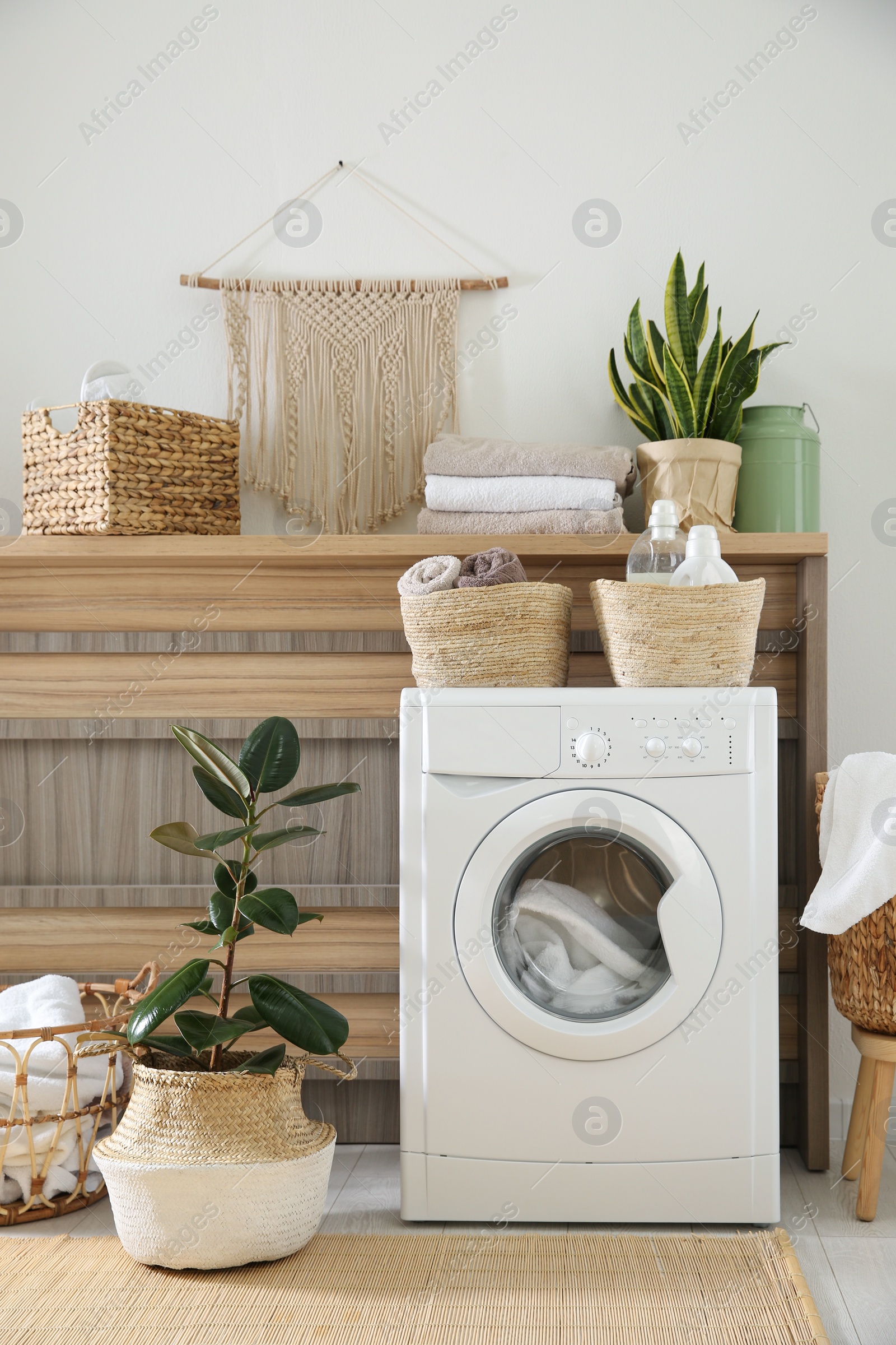 Photo of Modern washing machine and plants in laundry room interior