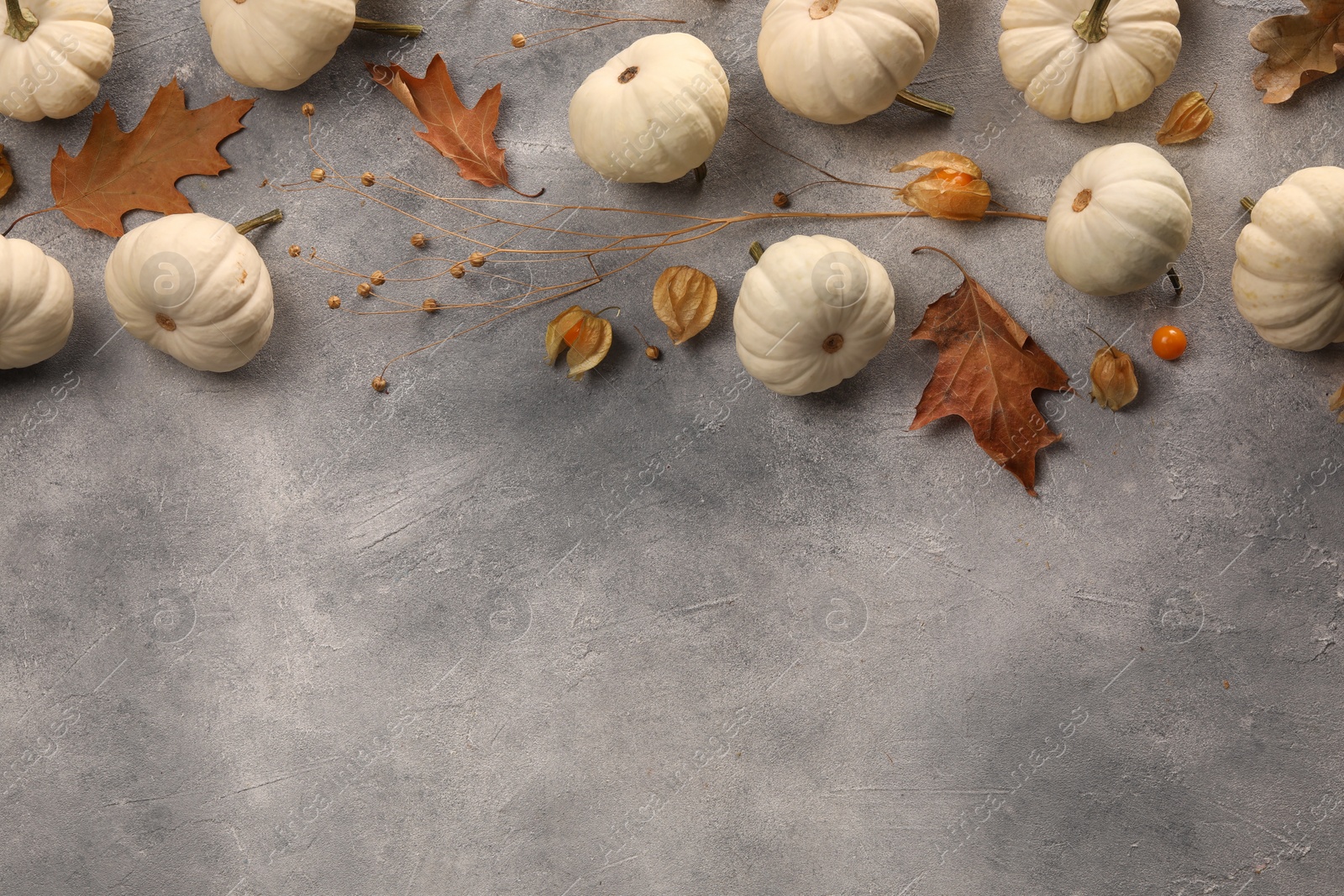 Photo of Flat lay composition with different fresh ripe pumpkins on light grey table, space for text