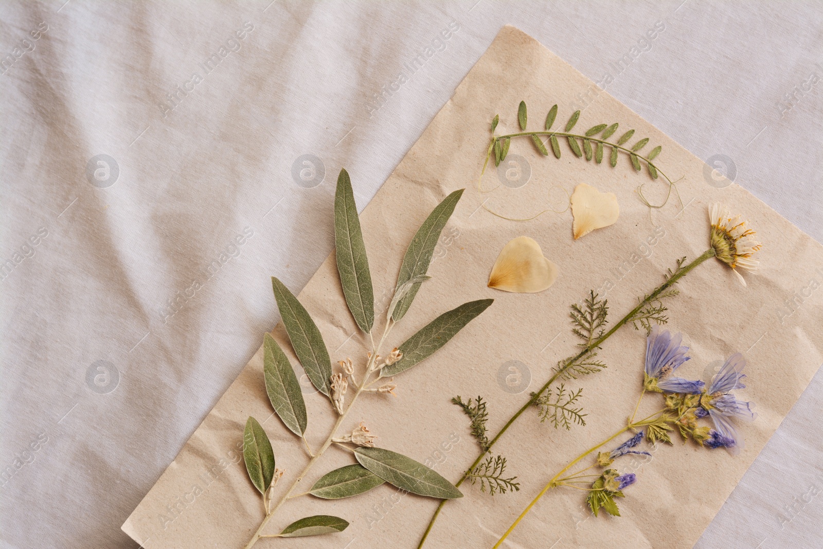 Photo of Sheet of paper with dried flowers and leaves on white fabric, top view