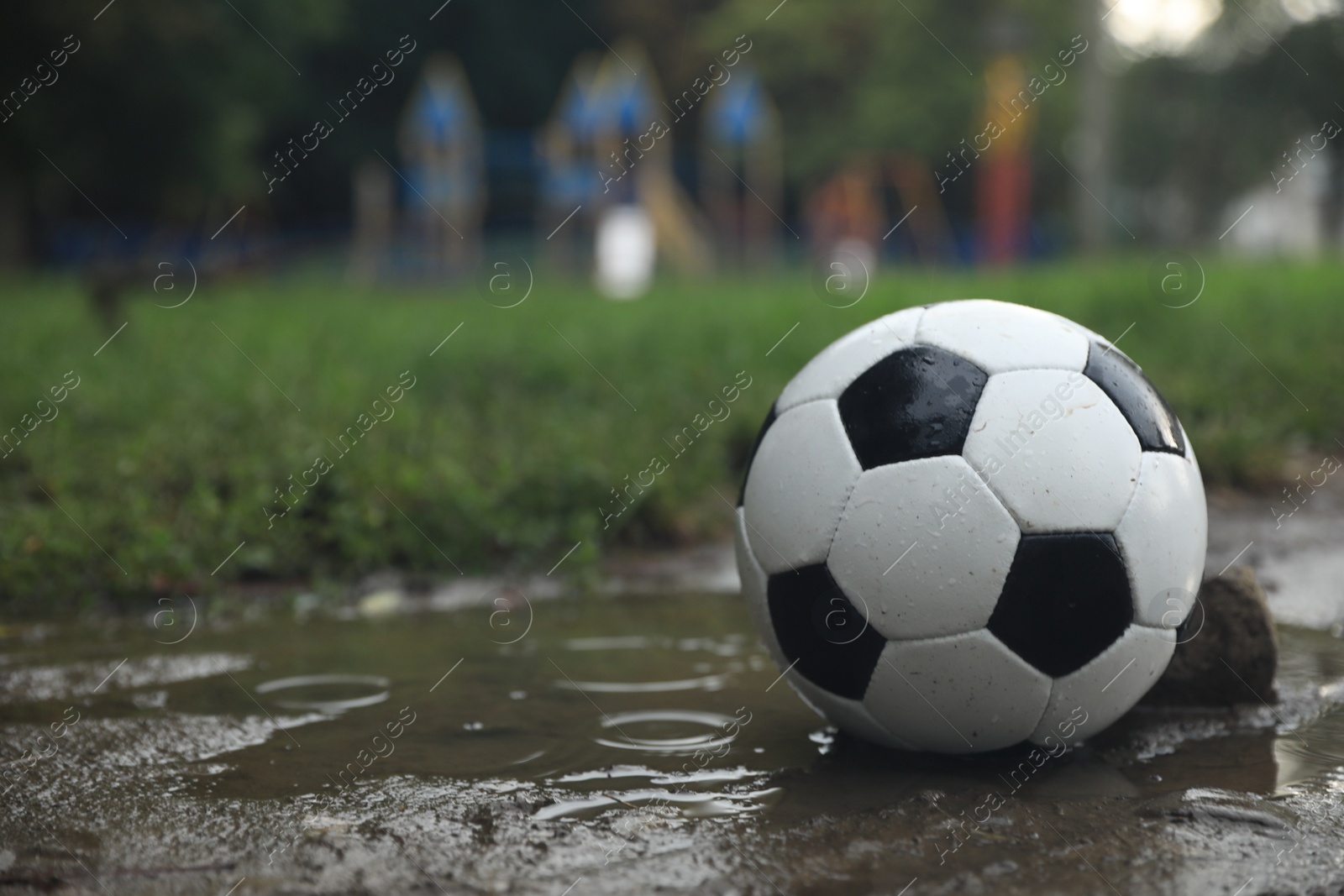 Photo of Leather soccer ball in puddle outdoors, space for text