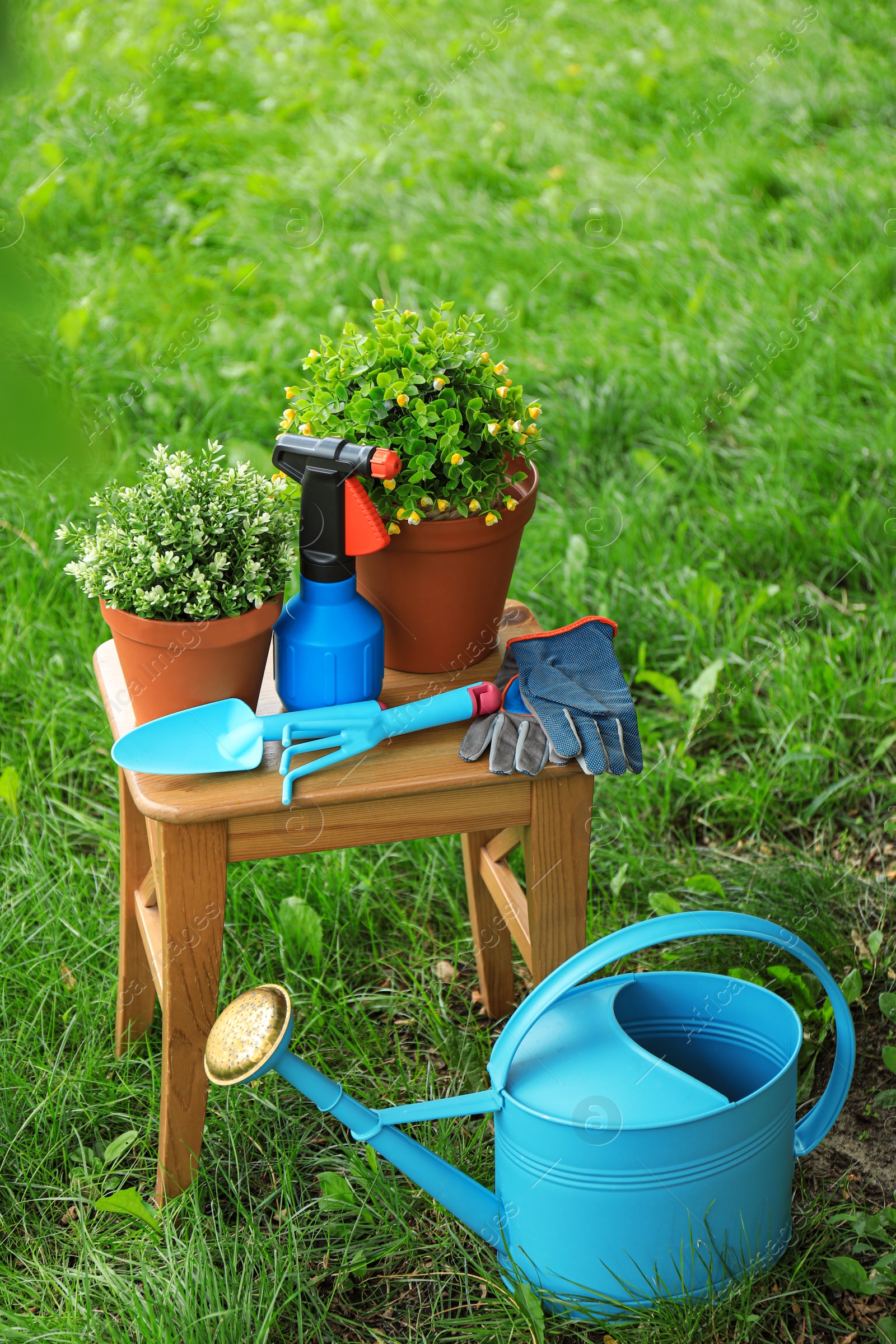 Photo of Composition with gardening tools on green grass