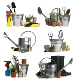 Image of Set of different gardening tools on white background