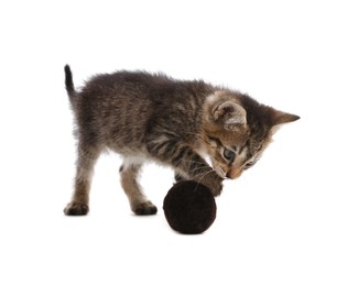 Photo of Cute little kitten playing with ball on white background. Pet toy