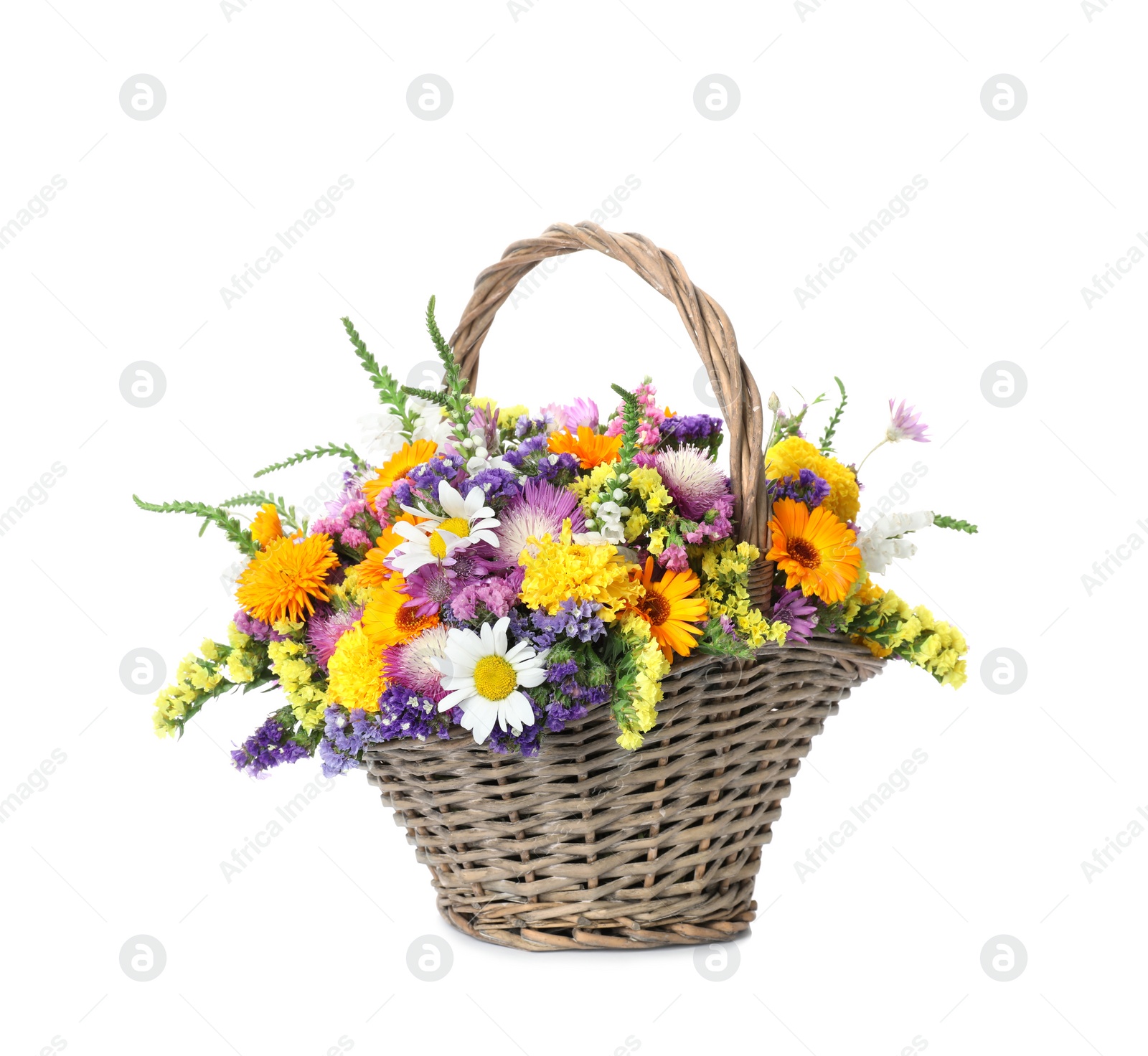 Photo of Wicker basket with beautiful wild flowers on white background