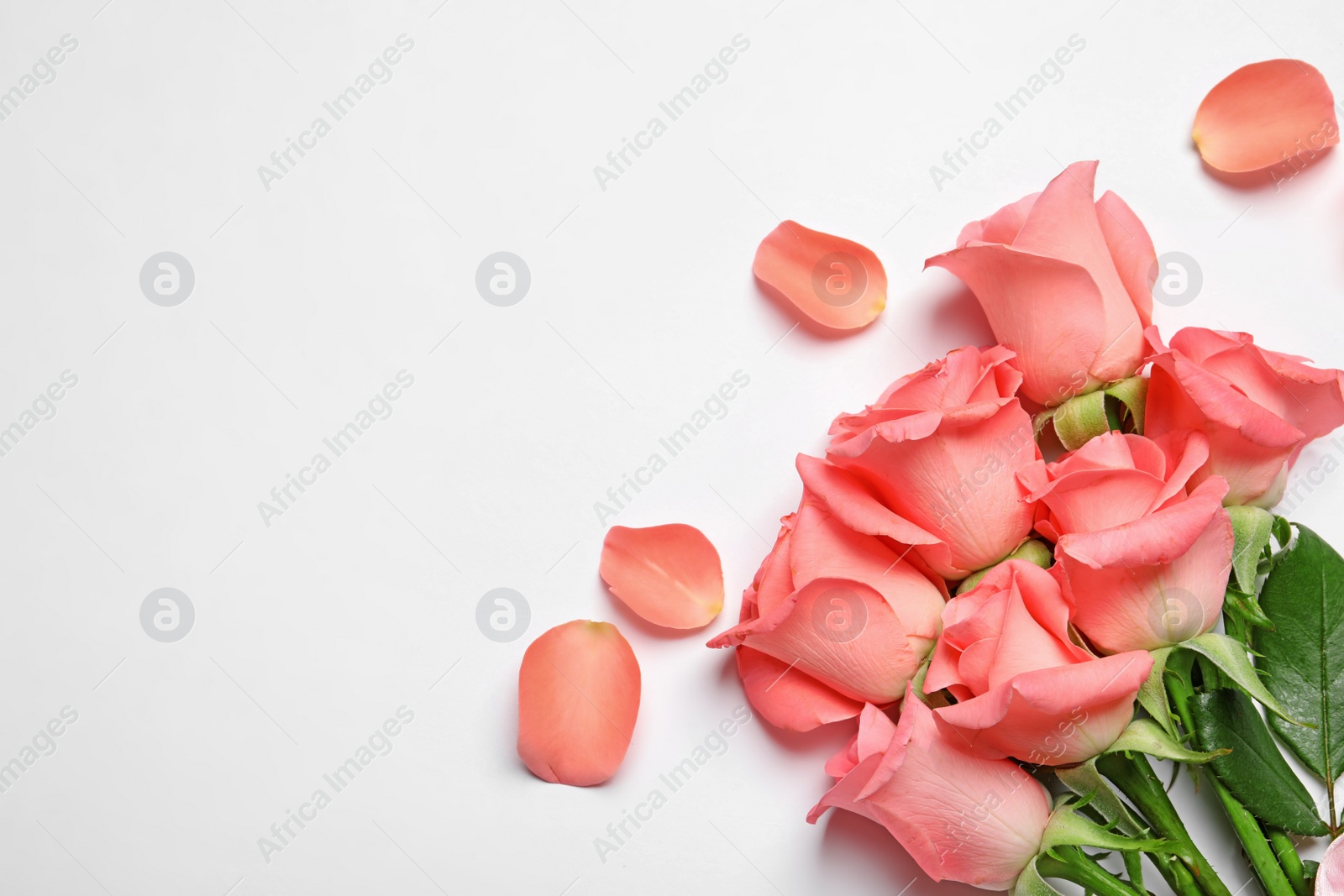 Photo of Bouquet of beautiful roses on white background