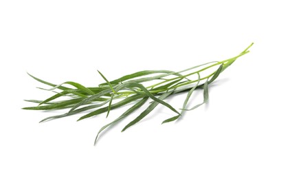 Photo of One sprig of fresh tarragon on white background