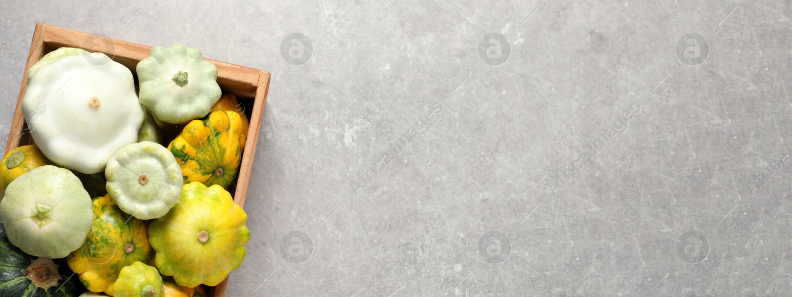 Image of Fresh ripe pattypan squashes in wooden crate on light grey table, top view with space for text. Banner design