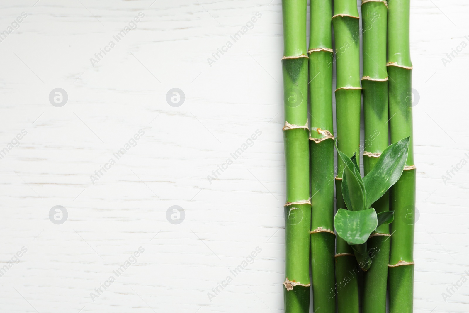 Photo of Green bamboo stems and space for text on wooden background, top view