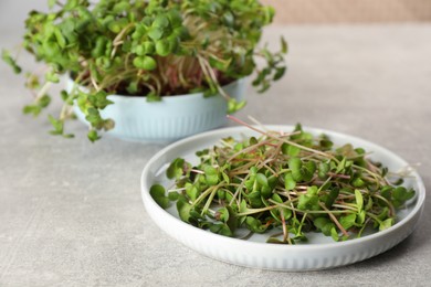 Photo of Plate with fresh radish microgreens on light grey table