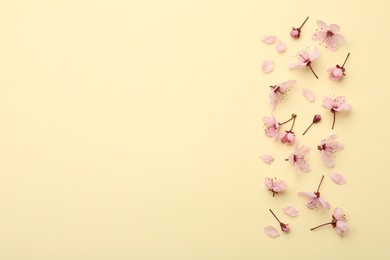 Photo of Beautiful spring tree blossoms and petals on yellow background, flat lay. Space for text