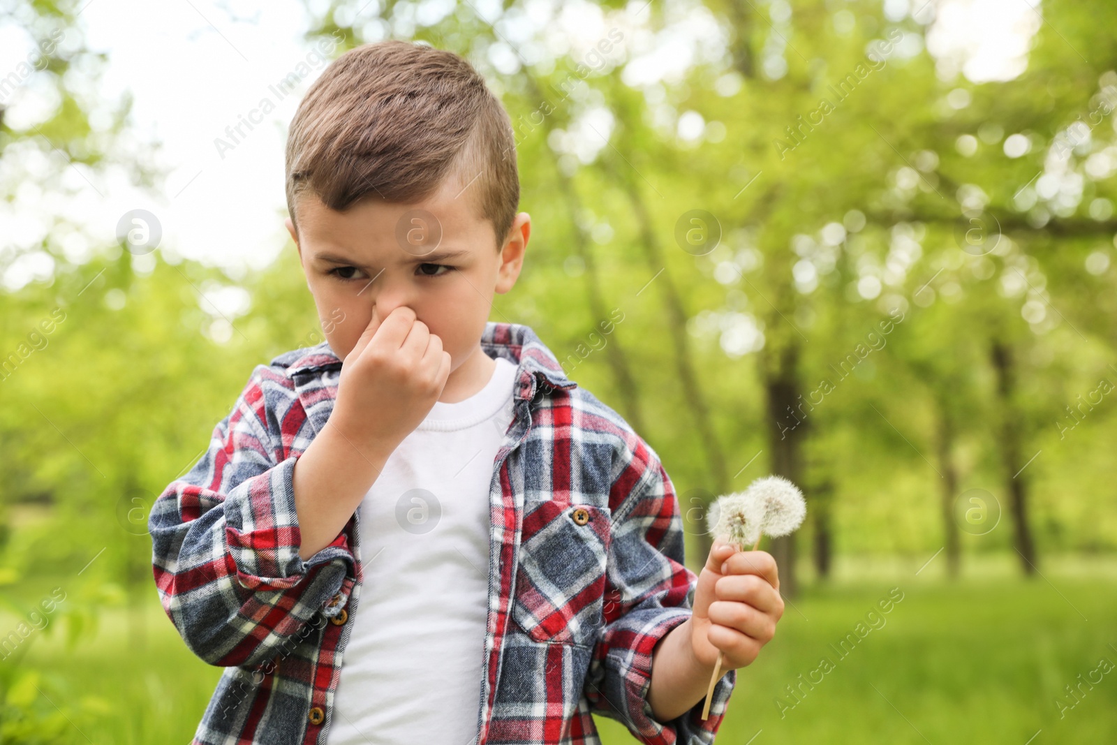Photo of Little boy with dandelions suffering from seasonal allergy outdoors, space for text