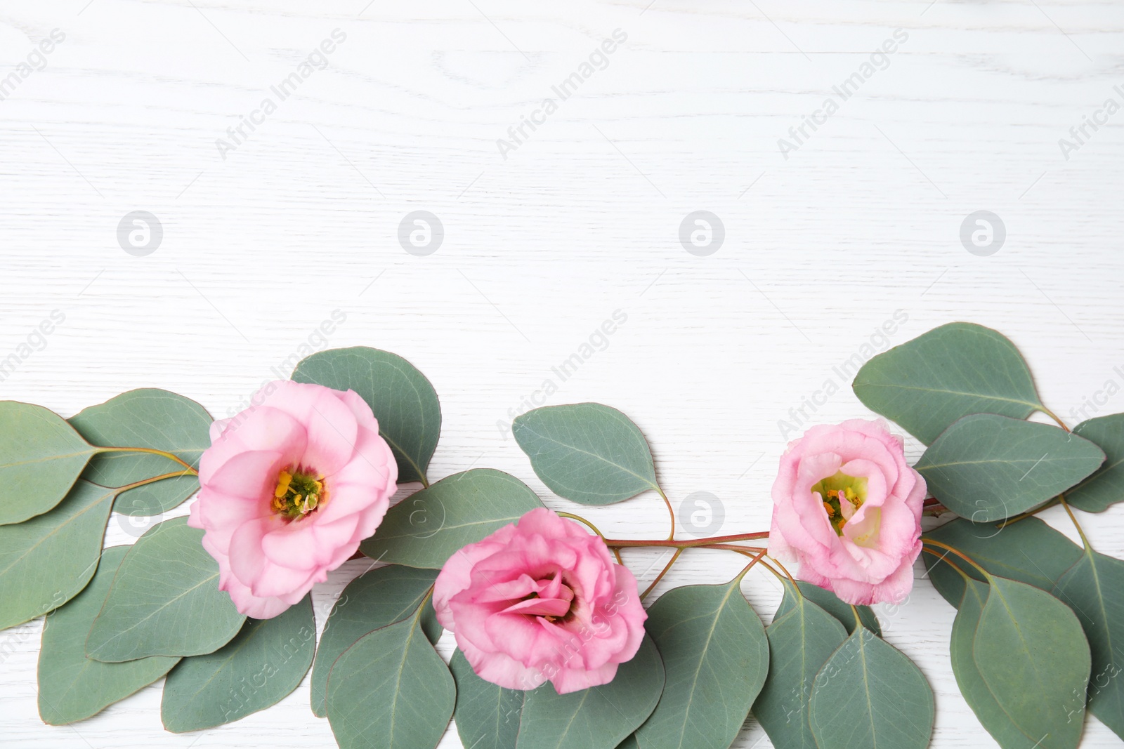 Photo of Fresh eucalyptus leaves with flowers and space for design on white wooden background, flat lay