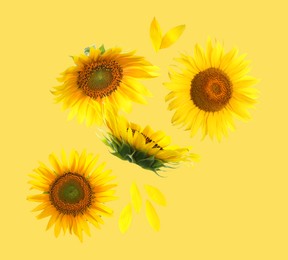 Image of Bright sunflowers in air on golden background