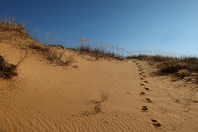 Photo of Trail of footprints on sand in desert