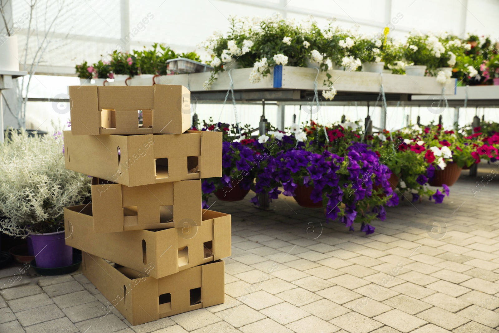 Photo of Stack of cardboard boxes and beautiful blooming plants in garden center