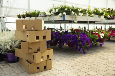 Stack of cardboard boxes and beautiful blooming plants in garden center