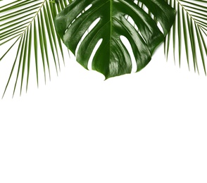 Fresh tropical leaves on white background, top view