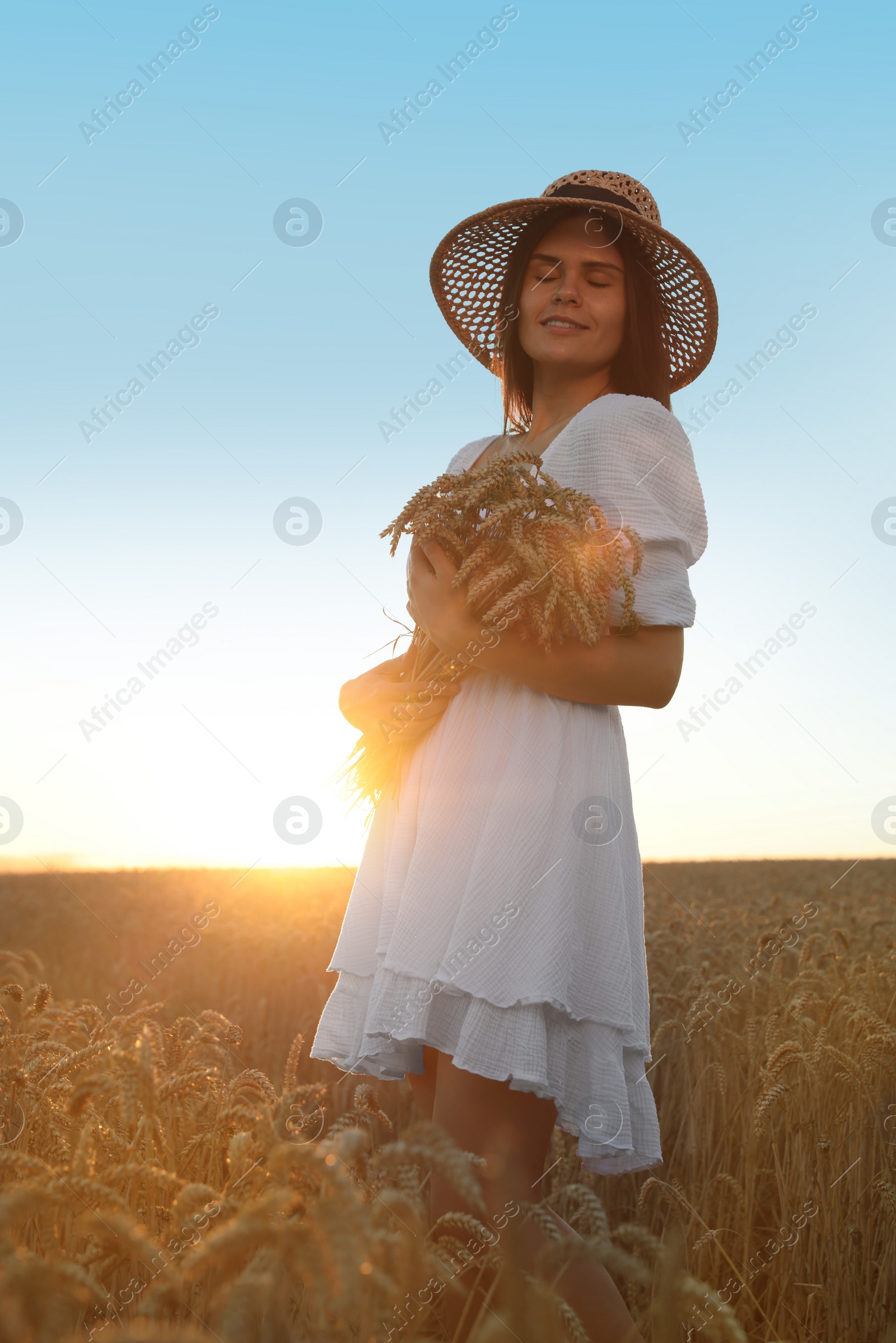 Photo of Beautiful young woman with bunch of wheat ears in field on sunny day