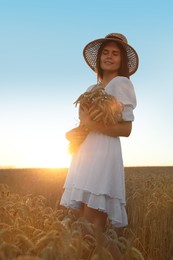 Photo of Beautiful young woman with bunch of wheat ears in field on sunny day