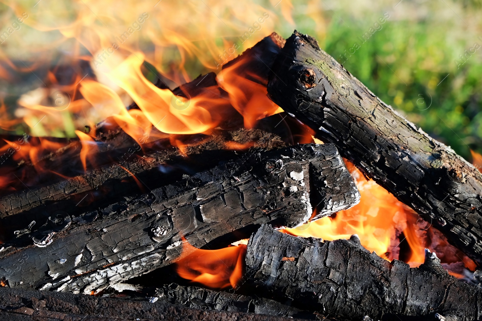 Photo of Metal brazier with burning wood outdoors, closeup