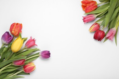 Beautiful colorful tulip flowers on white background, flat lay. Space for text