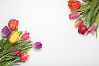 Photo of Beautiful colorful tulip flowers on white background, flat lay. Space for text