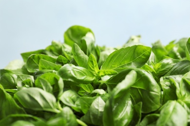 Fresh green basil leaves on light background, closeup