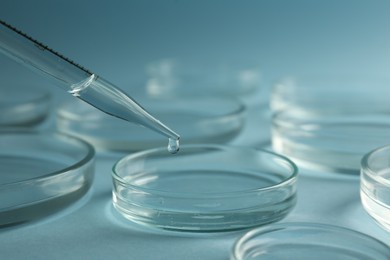 Dripping liquid from pipette into petri dish on light blue background, closeup