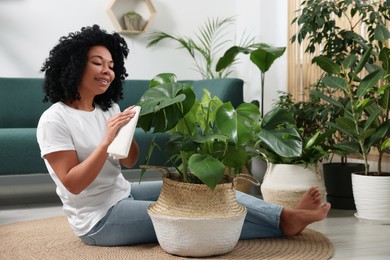 Photo of Woman wiping beautiful monstera leaves at home. Houseplant care