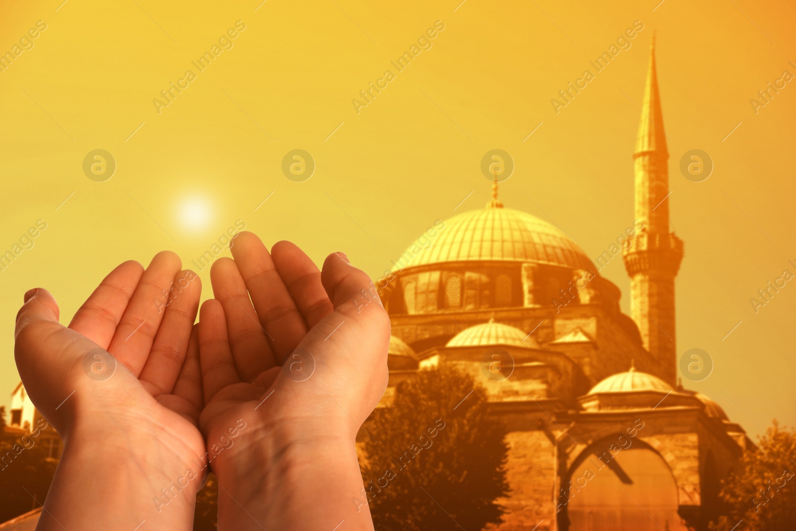 Image of Muslim woman praying near mosque at sunset, closeup