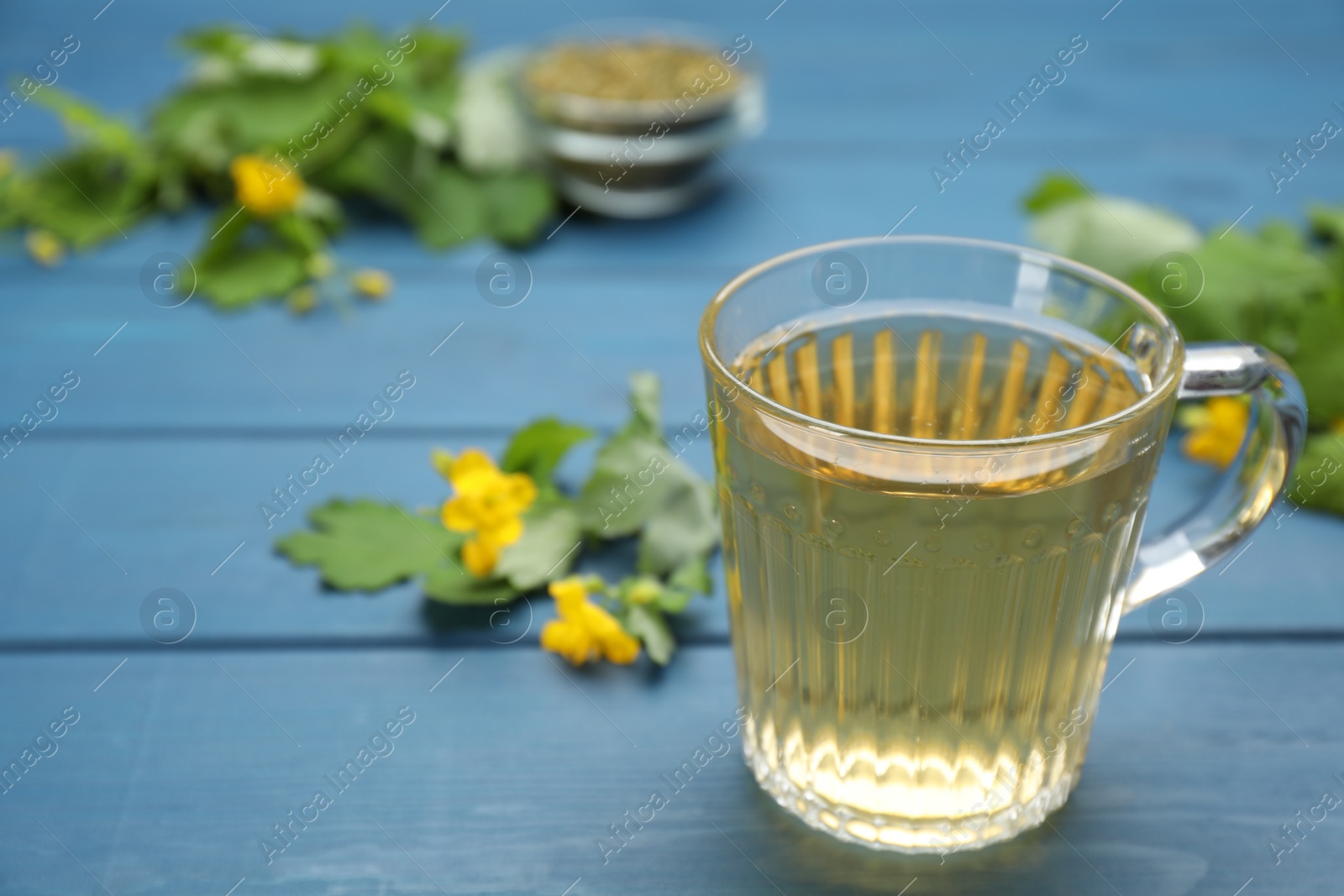 Photo of Glass cup of aromatic celandine tea and flowers on blue wooden table, closeup. Space for text