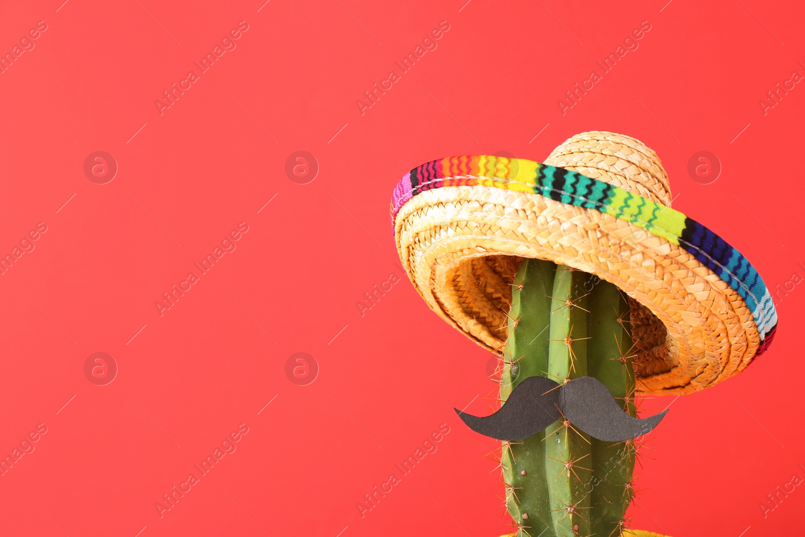 Photo of Cactus with Mexican sombrero hat and fake mustache on red background. Space for text